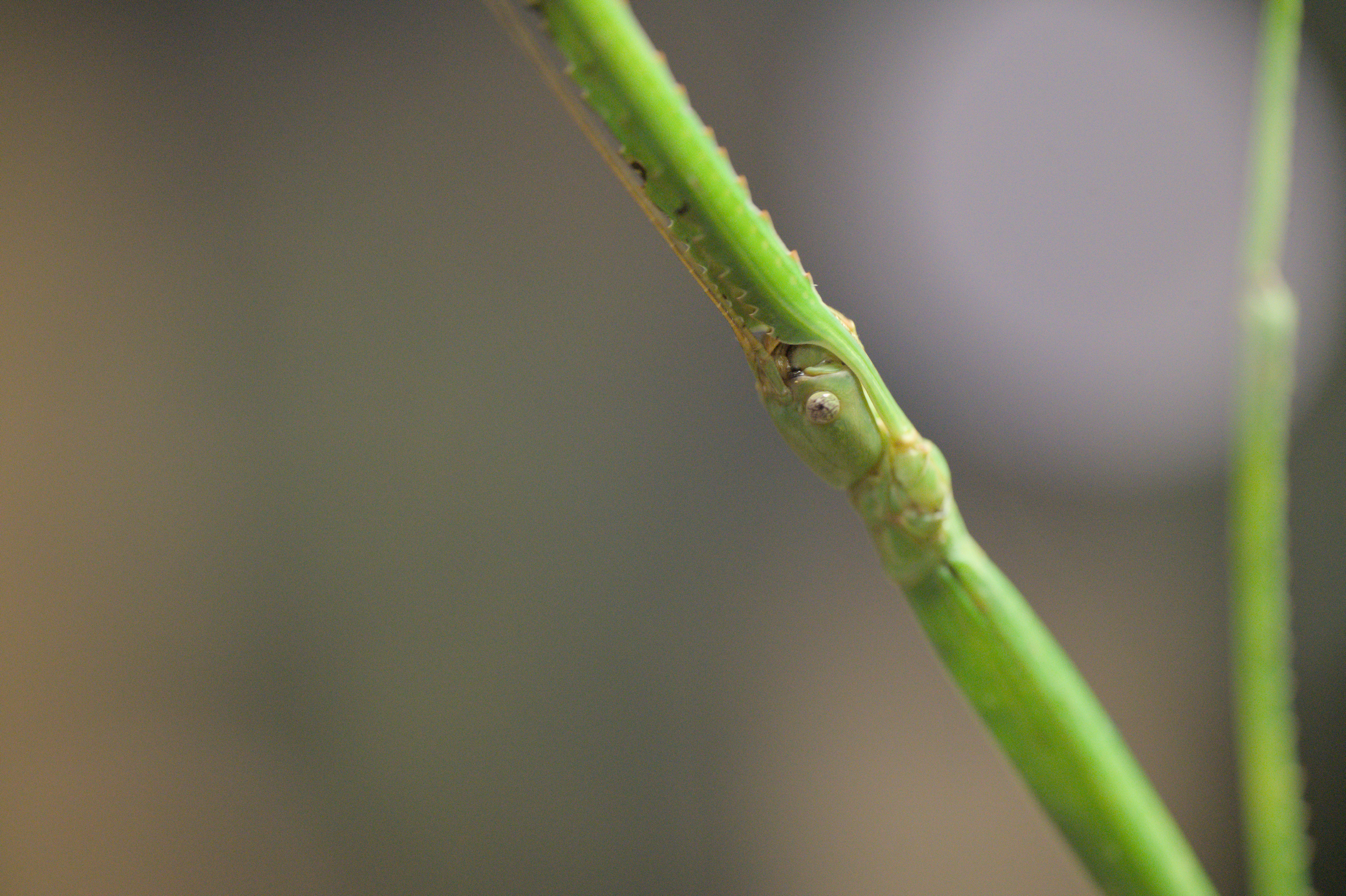 2025/10/12 - zoo/DSC_0213.jpg